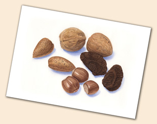 nuts greeting card