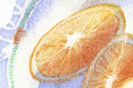 oranges detail